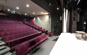 Théâtre du Petit Montparnasse à Paris